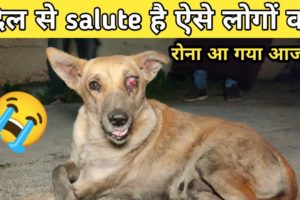 animal rescue team save a mother dog | दिल से salute है ऐसे लोगों को #shorts