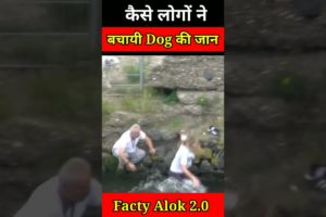 देखिए कैसे लोगों ने Dog की बचायी जान 😱😱🤔🤔dog rescue #dogrescue#shorts #dog