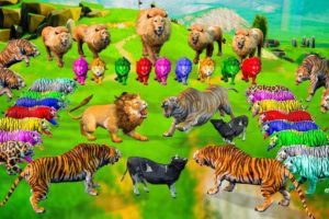 10 Zombie Lions vs Giant Tiger Fight Cow Rescue Woolly Mammoth Animal Epic Battle Wild Animal Fights