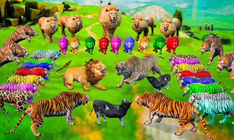 10 Zombie Lions vs Giant Tiger Fight Cow Rescue Woolly Mammoth Animal Epic Battle Wild Animal Fights