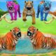 10 Zombie Tigers vs 10 Zombie Mammoths Fight Baby Elephant Rescue Saved By Woolly Mammoth Fights