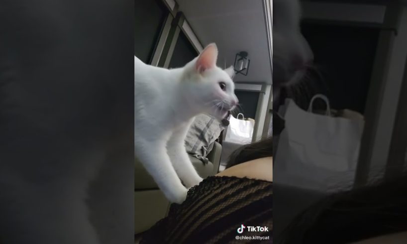 Ultimate Cutest PUPPIES & Happiest Pet of TikTok Compilation 2022