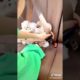 Dogs On TikTok | Dogs Doing Funny Things | Cutest Puppies TIKTOK Compilation 2022 | #tiktok #dogs