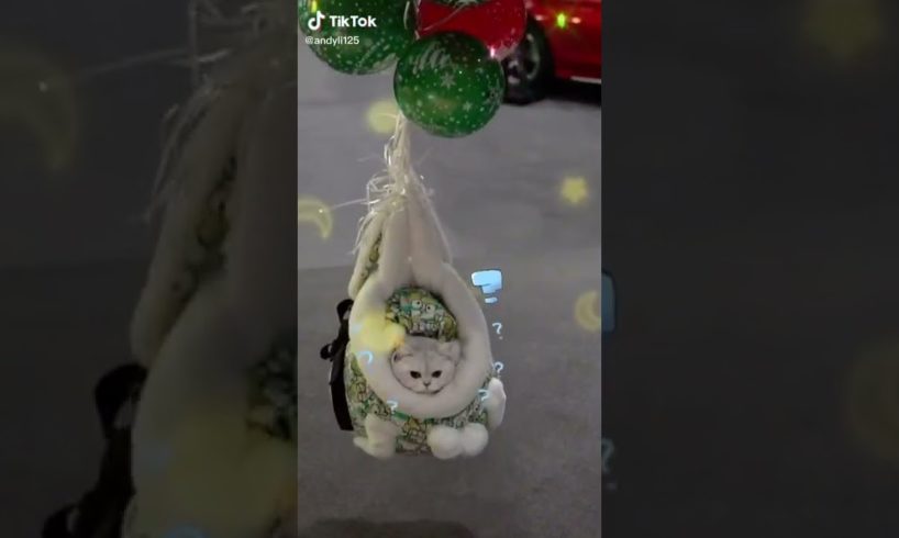 Ultimate Cutest PUPPIES & Happiest Pet of TikTok Compilation 2022