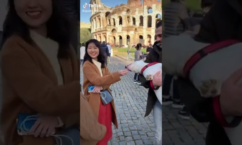 Ultimate Cutest PUPPIES & Happiest Pet of TikTok Compilation 2022