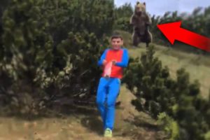 5 Bear Encounters That Will Terrify You