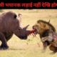 5 Rare and Extreme Fights of Wild Animals || By Awesome list hindi