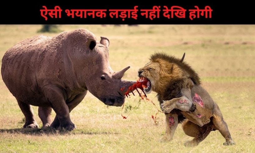 5 Rare and Extreme Fights of Wild Animals || By Awesome list hindi