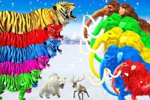 5 Woolly Mammoths Vs Tiger Animal Fight | Mammoth Elephant Save Polar Bear from Giant Tiger Attack