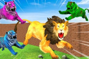 5 Zombie Tigers Vs Lion Fight with Buffaloes Dinosaurs eating Deer saved by Woolly Mammoth video