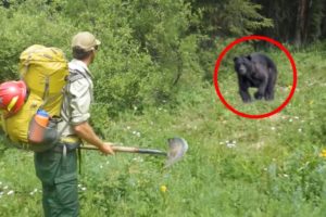 6 Bear Encounters You Don't Want to See (Part 2)