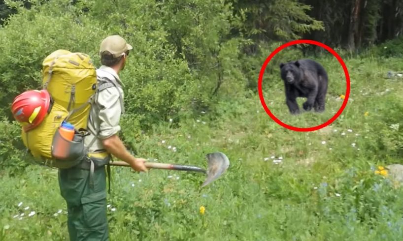 6 Bear Encounters You Don't Want to See (Part 2)