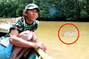 6 Crocodile Encounters You'll Regret Clicking On