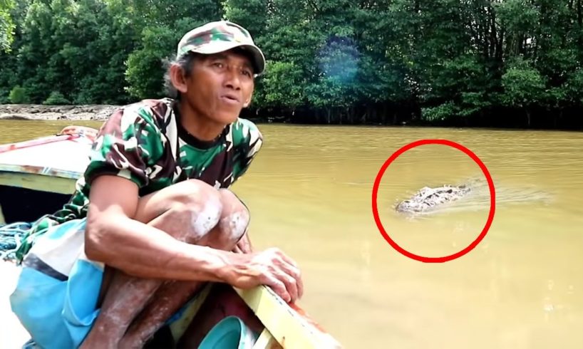 6 Crocodile Encounters You'll Regret Clicking On