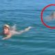 6 Shark Encounters You Won't Believe Happened