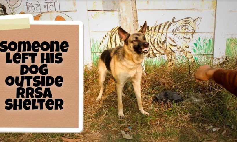 An owner left his dog outside a shelter. the dog was tied to the pole with a heartbreaking note.