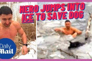 Animal rescue: Hero jumps into ICE to save dog stuck in frozen river in Ukraine