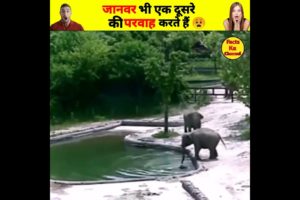 Baby elephant rescued by mother | baby elephant rescued by other elephants |#shorts#rescue#animal