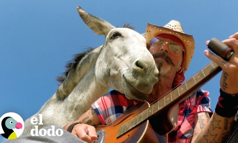 Burro se acurruca en el hombro de este chico cada vez que el toca la guitarra | El Dodo