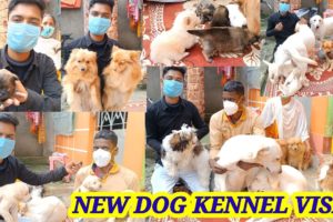 CUTEST PUPPIES🐕CUTE PUPPIES🐕PUPPIES KENNEL KOLKATA🐕CUTEST DOGS PRICE🐕DOG KENNEL🐕DOG FARM IN INDIA🐕