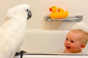 Cockatoo And Baby Boy Are Instant Best Friends | The Dodo