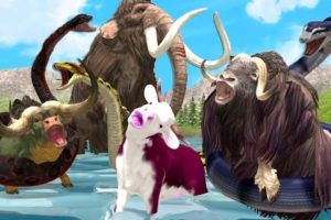 Cow Mammoth Elephant Giant Bulls vs Giant Snake Animal Fights Cow Rescue Saved By Woolly Mammoth