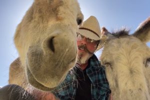 Cute Animals Loving Music. Animals Love Music. Live Music Hazel the Donkey Famous Donkey