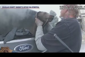 Deputy saves dog from burning car: bodycam video released