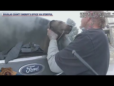Deputy saves dog from burning car: bodycam video released