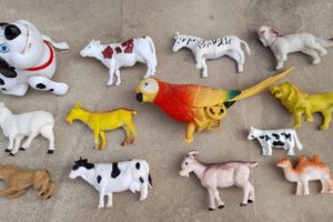 Domestic animals and bird cow horse and other animals mini project video #diyminiproject