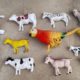 Domestic animals and bird cow horse and other animals mini project video #diyminiproject