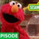 Elmo and Friends Find the Best Pet | Sesame Street Full Episode