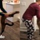 Gato tiene su propia forma especial de hacer yoga | El Dodo
