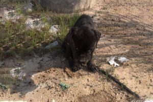 He was Depressed, Exhausted After Many Days Begging for Help From Passersby