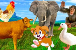 Interesting about familiar animals, farm animals: monkey, dog, duck, cow, chicken, elephant