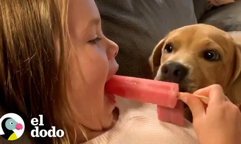 Niña graba video para mostrar a sus papás que está lista para un perro | Almas Gemelas | El Dodo