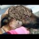 Oh no! 2 0 0 Maggots Left to DlE Poor Pups Rescues