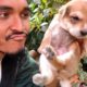 Our Sweet Family Members | Cute Puppies | Cutest Dogs | Bengali Lifestyle Vlogs