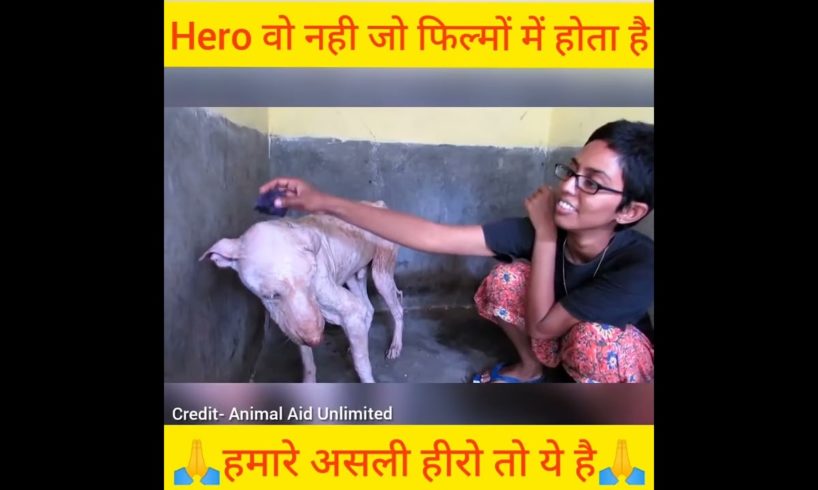 Our real hero, Animal rescue team | # shorts