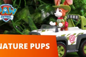 PAW Patrol - Forest and Tree Rescues! Nature Pups! - Toy Episode Compilation