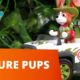 PAW Patrol - Forest and Tree Rescues! Nature Pups! - Toy Episode Compilation