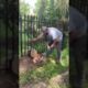 Rescue video,Dear rescues video 2022,,Rescue videos of animals #shorts