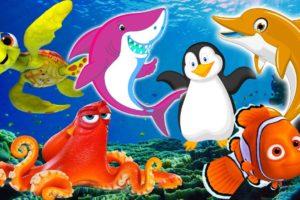 Sea animals - familiar animal names and sounds - dolphins, sea turtles, sharks, penguins, sea fish