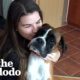 Skinny Shelter Dog Has The Happiest Transformation | The Dodo Foster Diaries