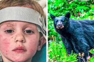 The 3-Year-Old Boy Who Survived 2 Freezing Nights Says That A Bear Helped Keep Him Warm