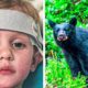 The 3-Year-Old Boy Who Survived 2 Freezing Nights Says That A Bear Helped Keep Him Warm