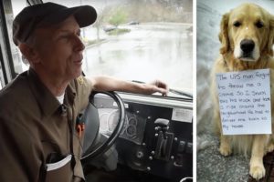 UPS Driver Thinks He’s Rescuing A Lost Dog Until Reads Note Around His Neck