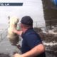 WeatherNation Rescues Animals from Louisiana Flood