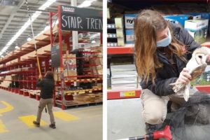 Woman Rescues Owl Found In Warehouse (Heartwarming Animal Rescue)