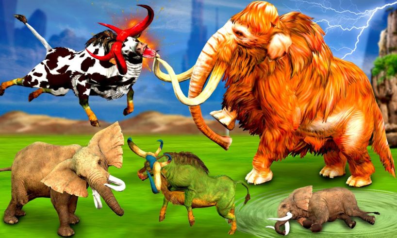Woolly Mammoth vs Zombie Cow Cartoon Animal Fights Baby Elephant Rescue Saved By Mammoth Elephant